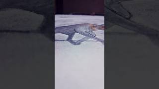 Drawing Fire Wolf