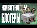 Блогеры животнолюбы