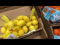 STARTING 2019 OFF RIGHT EATING HEALTHY GROCERY SHOPPING | MEETING A BEAUTIFUL GEM 💎 FAMILY MEMBER