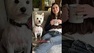 La verdad incómoda sobre el house sitting 🤭