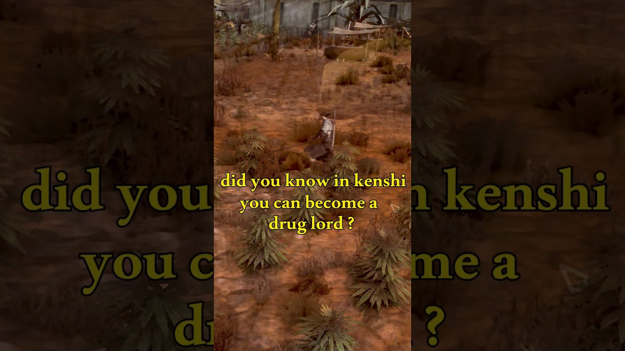 become a drug lord in kenshi