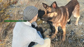 Gaming In The Wild #44: Entwined, Fallout 4