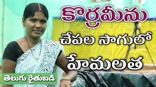 కొర్రమీను పెంచడం కష్టమే.. అసాధ్యం కాదు : హేమలత | Telugu Rythubadi