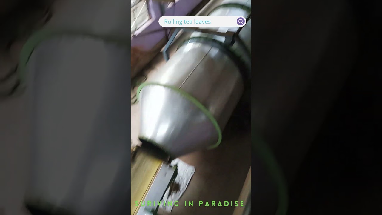 🍃🌿தேயிலை உலறுதல் ☕🏭 