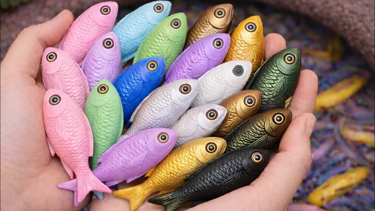 Catch Beautiful Freshwater Aquarium Fish in Giant Colorful Eegs, Catfish, Turtle, Crayfish, fish