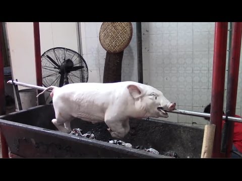 شوي خنزير كاملا على الفحم في الفيتنام مشهد يحبس الأنفااااس