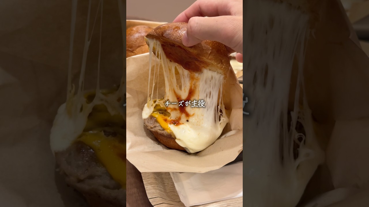 【NEW】モスバーガーの高級業態ができたので行ってみたら...【新橋】