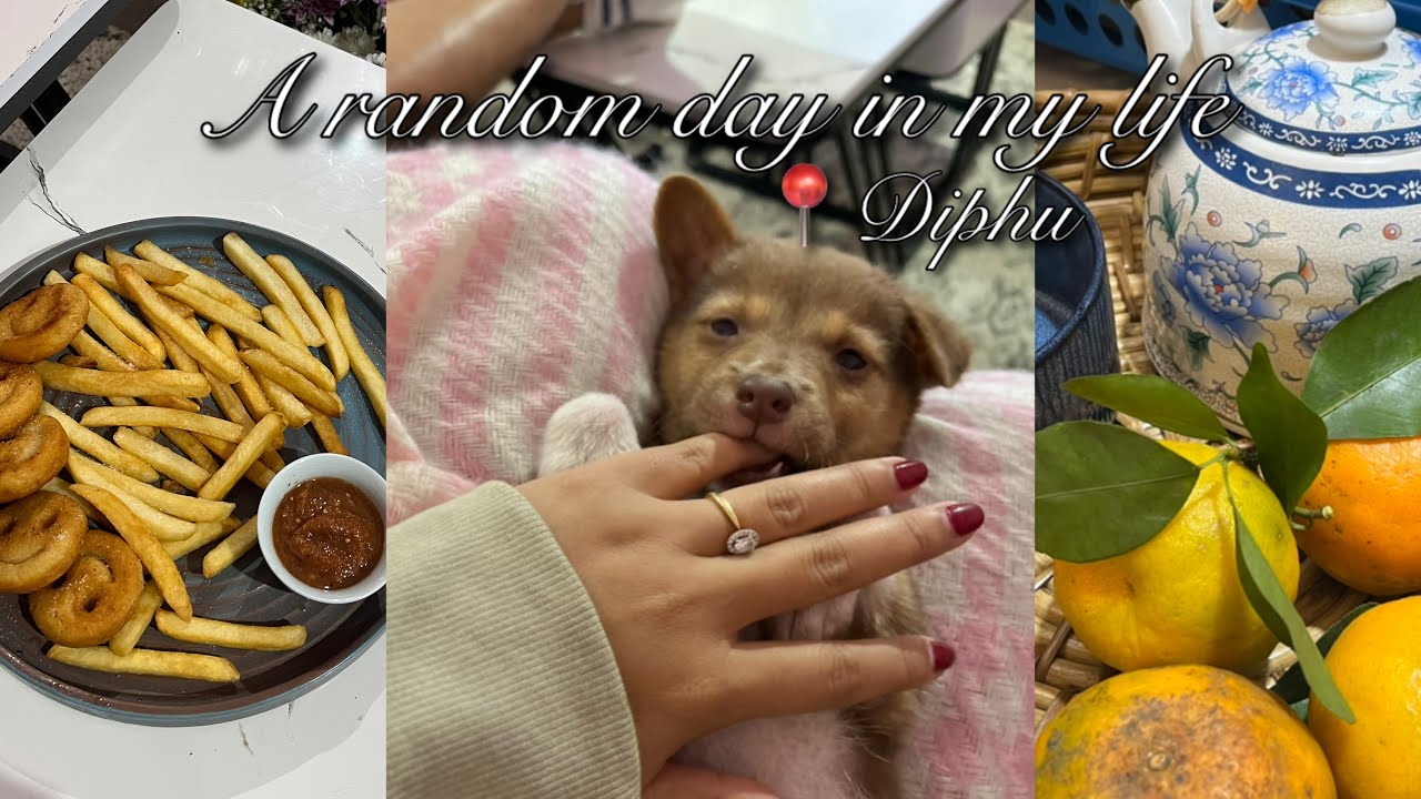 Случайный день из моей жизни | Купила саженцы овощей, ошейник и игрушки для своего нового питомца |