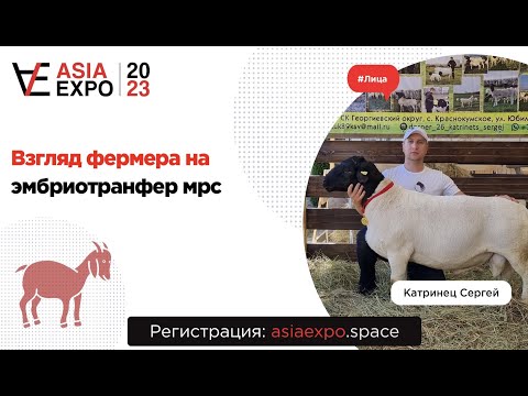 В чем же