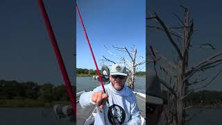 May Fly Secrets #fishing #fyp #fypシ #fypシ゚viral #fypシ゚