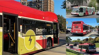 TTC Buses: Summer 2025