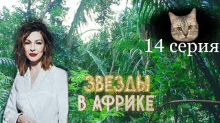 Звёзды в Африке 2 сезон 14 серия