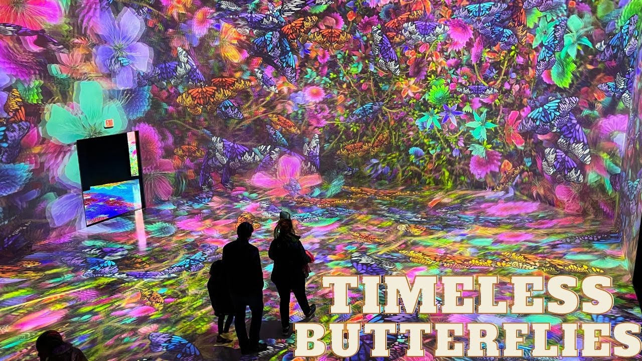 ARTECHOUSE PIXELBLOOM Timeless Butterflies Washington DC in 4K 2023