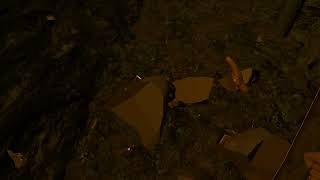 🇺🇸🇬🇧 👁️ FrOgZ – EXCLUSIVITY - Dino Quest VR (Meta Quest) Fossil Excavation, Dinosaur Survival screenshot 3