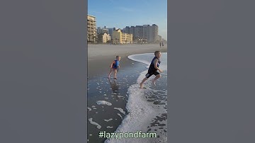 Faceplant #cutekids #beach #funny #shorts #ocean #waves #wavesounds #laugh #family #myrtlebeach
