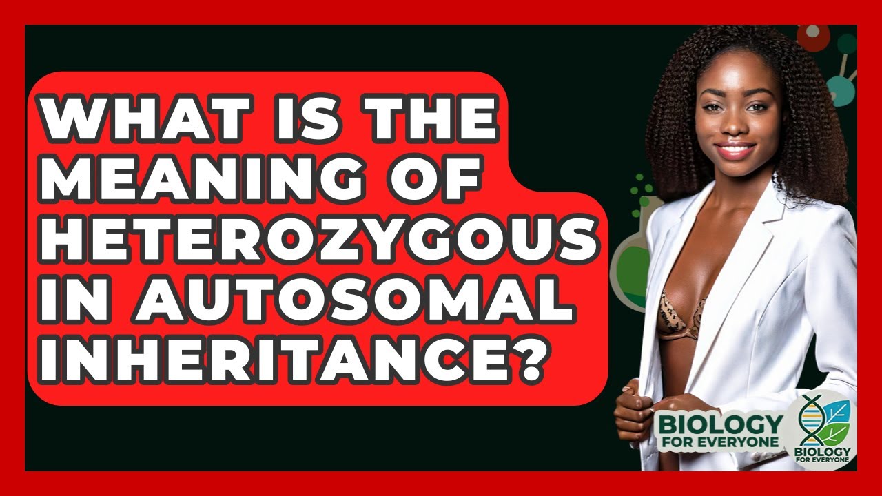What Is The Meaning Of Heterozygous In Autosomal Inheritance? - Biology For Everyone