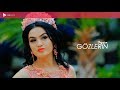 Begojan Gözleriň 