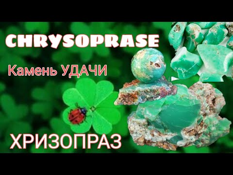 Камень удачи и процветания. Хризопраз. Chrysoprase. Камень богатства. Изобилие во всем. Lucky Stone.