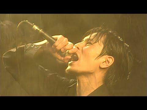 ☆帯付き ザ・ミッシェル・ガン・エレ マキシマム・マキシマム・マキ Amazon.co.jp: MAXIMUM! MAXIMUM!! MAXIMUM!!!: ミュージック