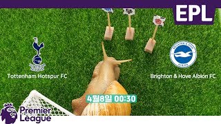 Super Snail's Pick 🐌 EPL ⚽ 0408(MON) Tottenham Hotspur FC VS Bringhton & Hove Albion FC