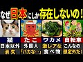 863万人が震撼…訪日外国人が腰を抜かした日本にしか存在しないモノ７選【ゆっくり解説】