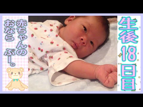 赤ちゃんのおなら　お腹いたいのかな？　新生児【生後18日目】
