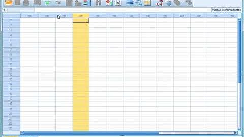 08 SPSS Tutorial 3   The SPSS Interface