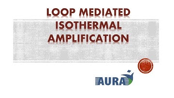 Loop Mediated Isothermal Amplification(LAMP)|Aura biotech