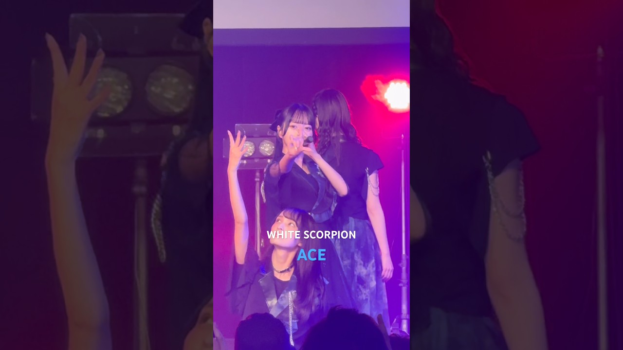 WHITE SCORPION ACE 推しカメラ - YouTube
