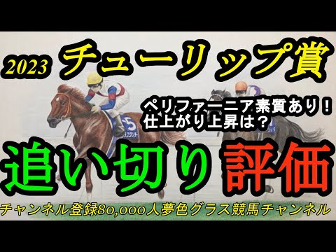 【最終追い切り評価】2023チューリップ賞全頭！ペリファーニアが叩き出す脅威の坂路終い1F時計とは！桜花賞へ迎える素質を秘めているのは？