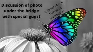 Delphi - Discussion of photo under the bridge with special guest