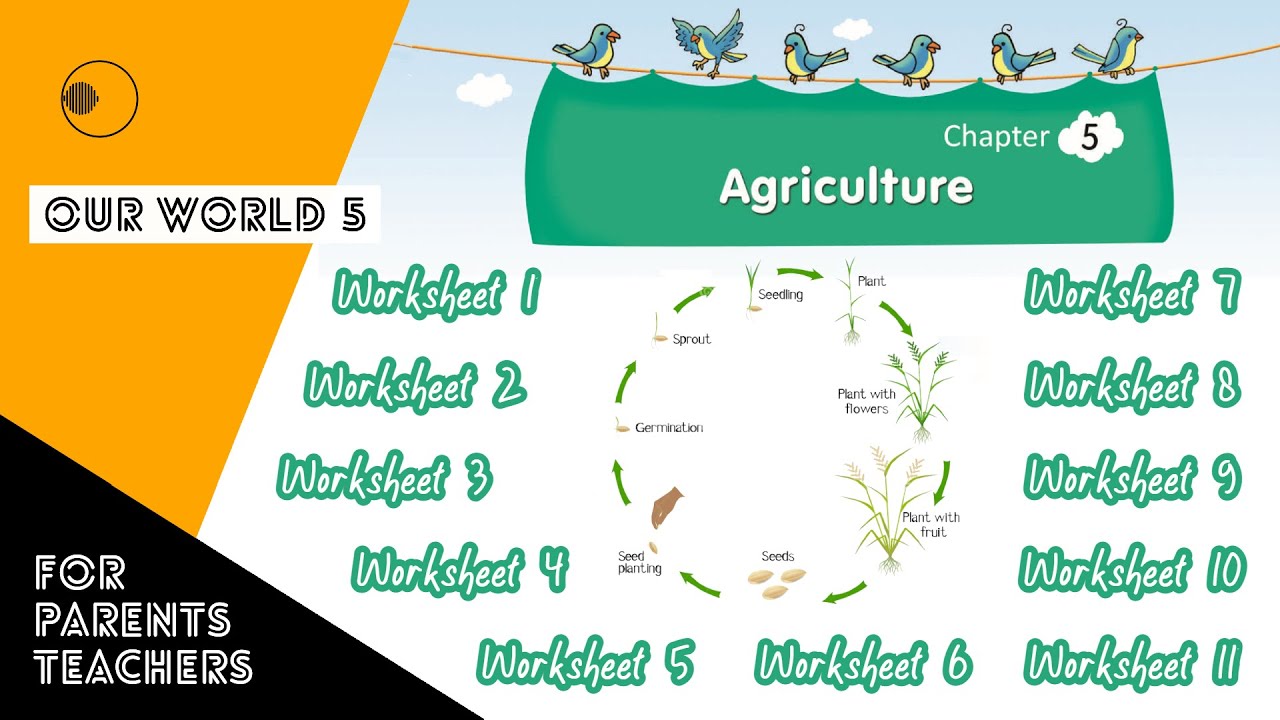 agriculture-worksheets-class-5-chapter-5-evs-ap-syllabus