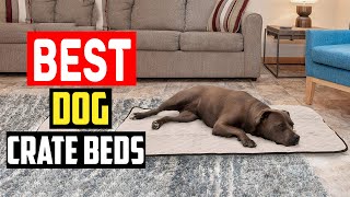 ✅Top 5 Best Dog Crate Beds To Make Your Dog’s Den Cozier in 2024