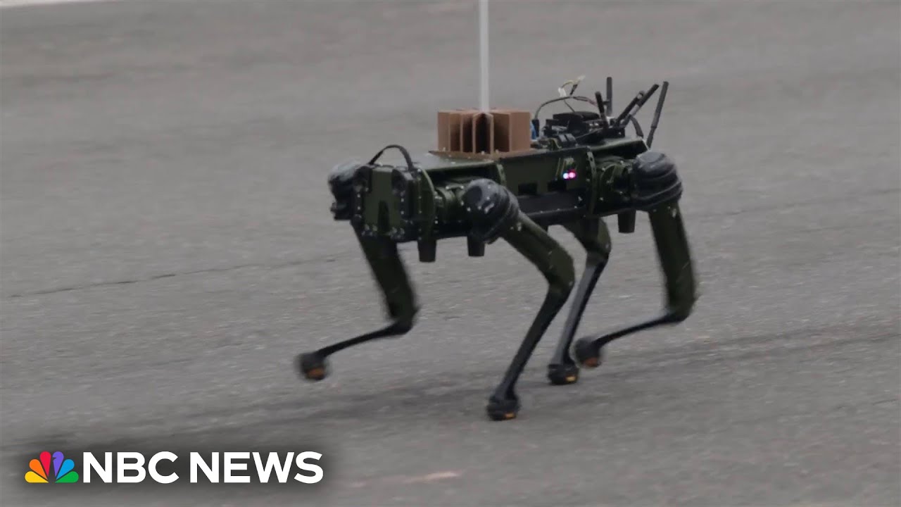 Drones and robotic dogs represent the future of the Army at military parade