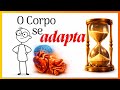 Desvendando o que realmente acontece com os órgãos durante um jejum de 24 horas