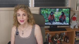 August 2026 Astrology MONKEY Month in HORSE Year Chinese Horoscope