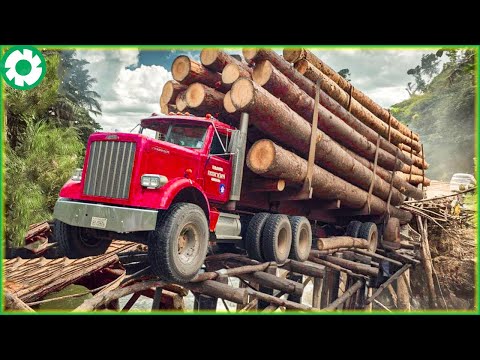 Extreme Dangerous Logging Wood Truck Driving Skill Fastest | Biggest Heavy Machinery Machines