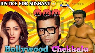 Bollywood chekkalu roasted 🔥🔥 | Bollywood nepotism | karan johar..