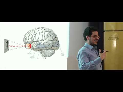 Rava Azeredo Da Silveira Some Views On Vision In French 