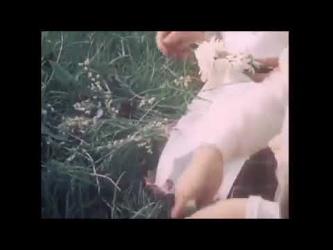 Baltic Mythology's Influence on Traditional Music and Dance