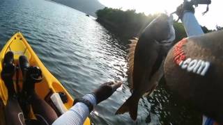 Kayak attack  Top water game  vol 1 Kurodai screenshot 4