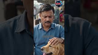 The Dogs Knew Before He Did... 🐶❤️ | Emotional AI Short #shorts #srraivideos #dog #animotion