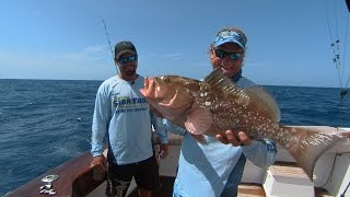 Grouper Rig Setup and Snapper Fishing Tackle for Offshore