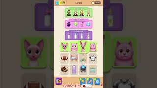 Connect Master level 104 Net Worth