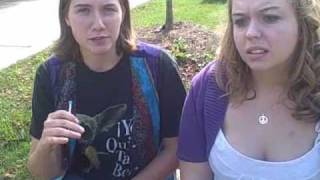 Insults episode 05.wmv