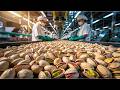 كيف يتم إنتاج الفستق داخل المصنع Pistachio Factory 