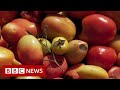 New video by BBC News on YouTube