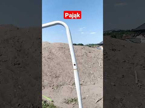 typy osób w piłce nożnej