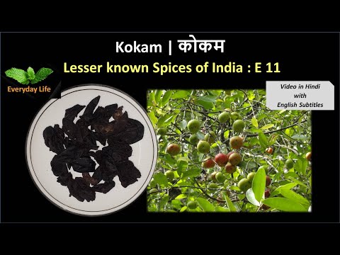 Kokam | कोकम | Lesser Known Spices of India: EP 11 |  Everyday Life