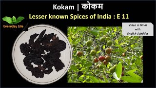 Kokam | कोकम | Lesser Known Spices of India: EP 11 |  Everyday Life #27